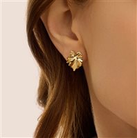 Boucles d'oreilles Stroili Oro Femme in Or jaune 1436242 - 1436242